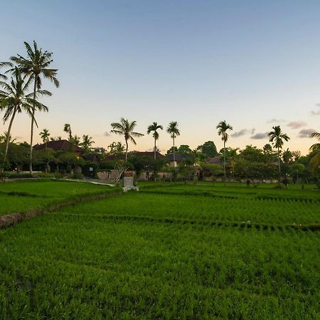 Agung Raka Villa Убуд Экстерьер фото