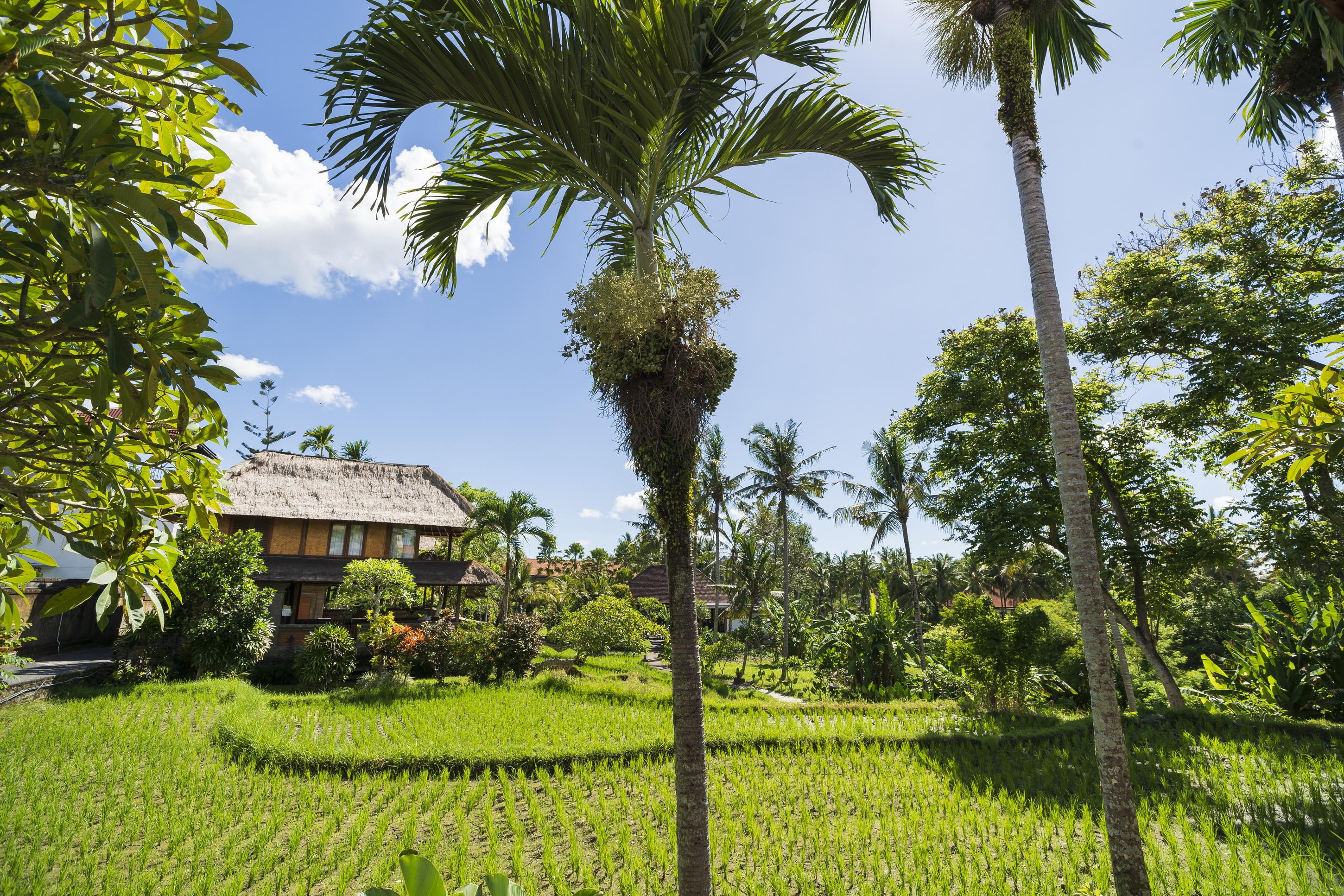 Agung Raka Villa Убуд Экстерьер фото