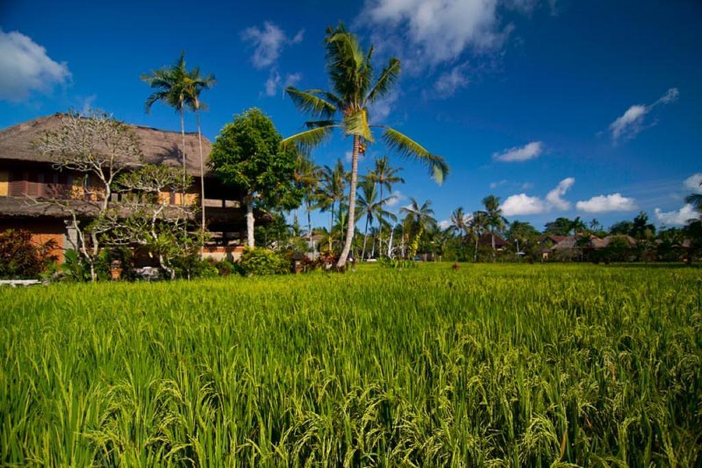 Agung Raka Villa Убуд Экстерьер фото